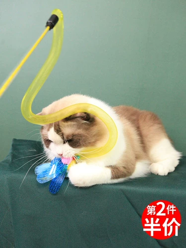 Cyclooopra Ms. Stick Baseball Fairy Paper Fairy Bell Bite Products Frong Cat Artifact Cat Toys