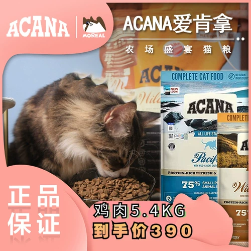 Aiken Cat Food Canada Импортировала акана кошачья курица натуральная no gena cam еда цельная кошка еда