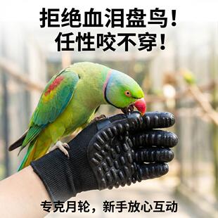 月轮鹦鹉防咬手套防刺防扎防抓养鸟训练鹦鹉耐用耐磨训鸟专用宠物
