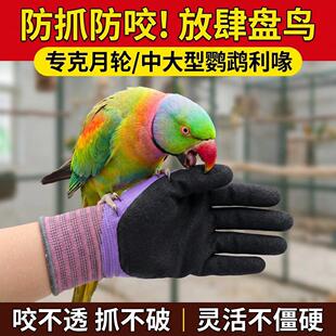 月轮鹦鹉防咬手套训鸟宠物训练专用专业防抓防刺防扎耐用女士防水