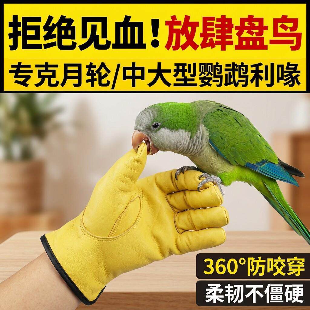 和尚鹦鹉防咬手套专用耐用训鸟宠物店防抓养鸟动物防刺防扎耐磨