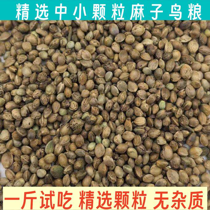 内蒙中颗粒麻子当年新粮包邮 鹦鹉仓鼠都可实用5毫米以下真空包装