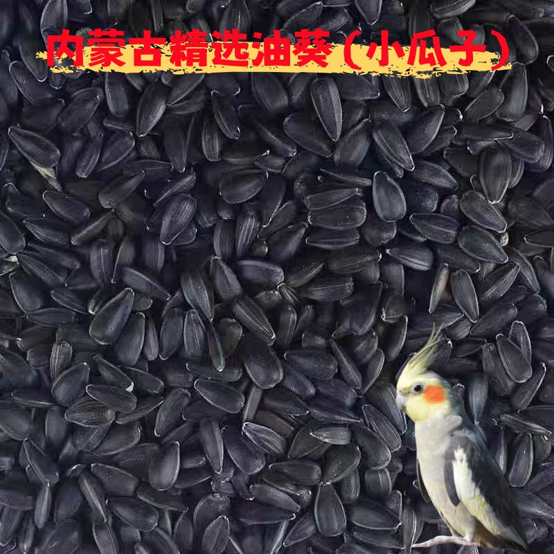 小油葵小瓜子鹦鹉专用粮蜡嘴玄风牡丹和尚 【2024】鸟食真空包装