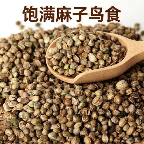 精品鹦鹉粮纸壳麻子大颗粒