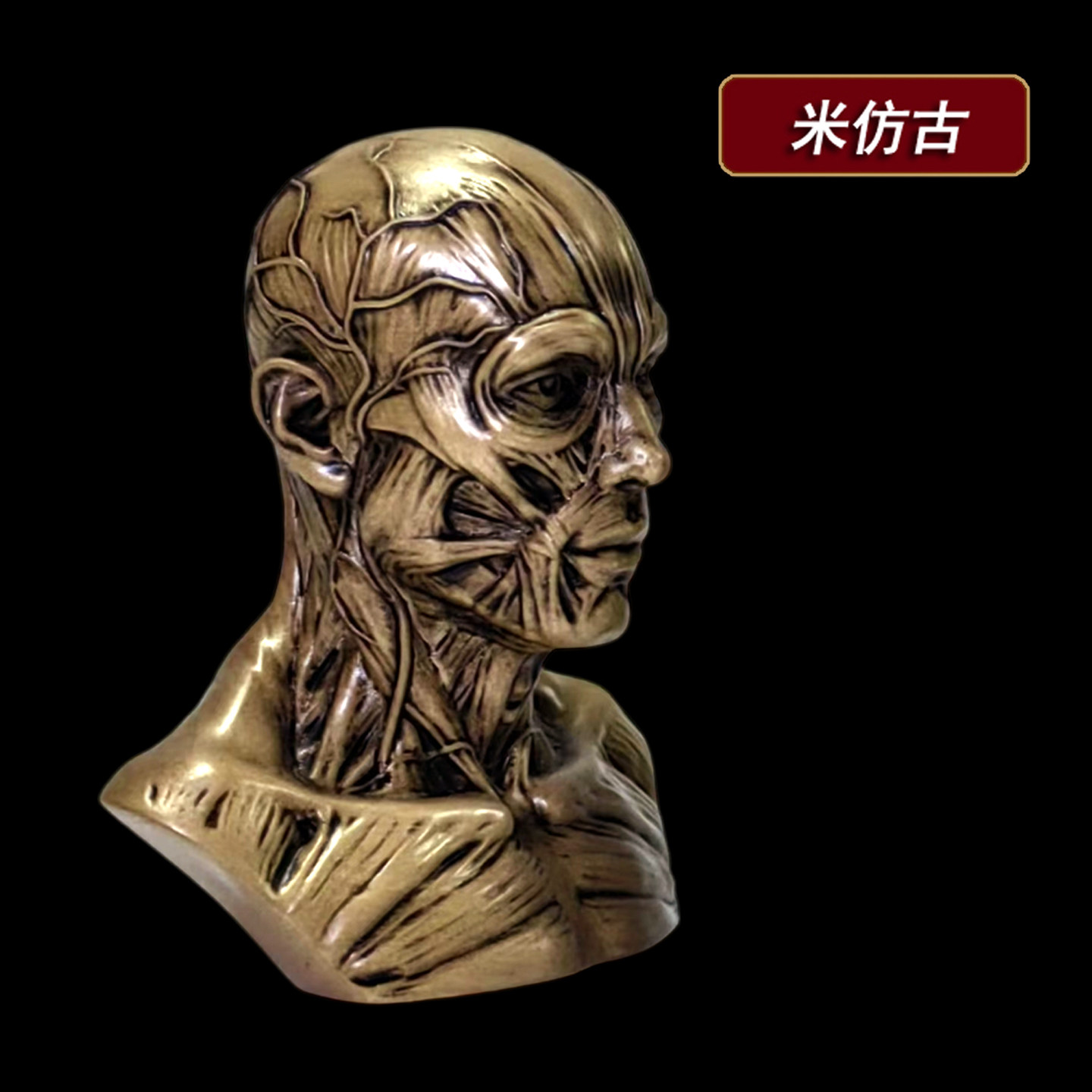 艺用人体肌肉骨骼解剖模型树脂骷髅头骨肌肉头模型玩具美术生参考