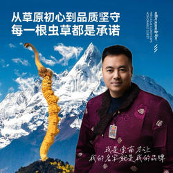 索南才让青海玉树野生冬虫夏草官方旗舰店头期正品干货虫草礼盒装