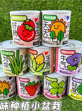 趣味易拉罐水果花草盆栽种植学生桌面摆件罐头栽培盆景小绿植