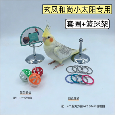 玄凤专用训练篮球架套圈