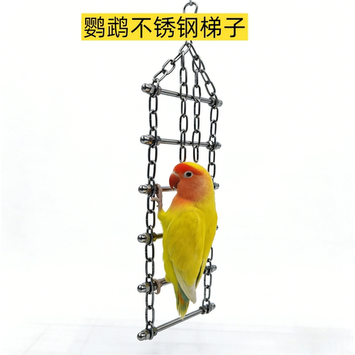 鹦鹉秋千304不锈钢爬梯啃咬解闷