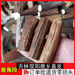 鹿角段250克 狗咬棒 刀柄料 雕刻打粉料免费打粉双阳鹿乡鹿角墩子