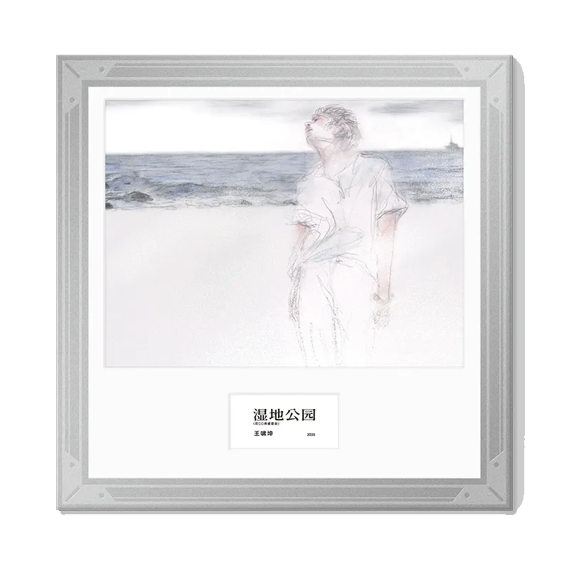 正版 王啸坤 第六张实体专辑 湿地公园 2CD唱片邮票小卡周边
