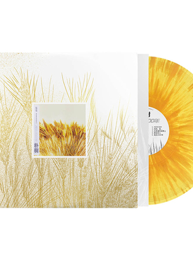 官方正版 朴树专辑 我去2000年 LP黑胶唱片 喷溅彩胶黄胶12寸唱盘