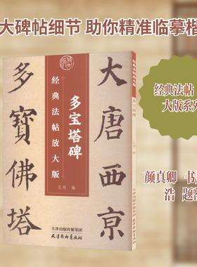 经典法帖放大版-多宝塔碑 天津杨柳青画社 孔顼 编 编 书法/篆刻/字帖书籍  KC