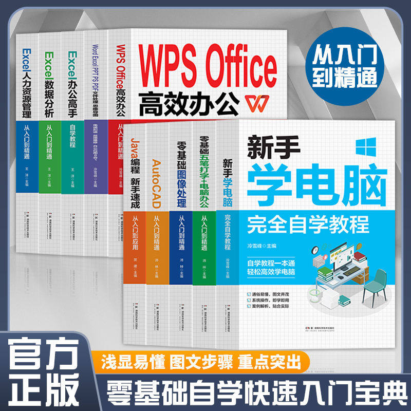 新手学电脑自学教程Excel入门到精通办公自动化WPS入门办公软件教程书实用表格教程 薪酬设计绩效考核人力资源数据处理与分析正版K