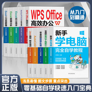新手学电脑自学教程Excel入门到精通办公自动化WPS入门办公软件教程书实用表格教程 薪酬设计绩效考核人力资源数据处理与分析正版K