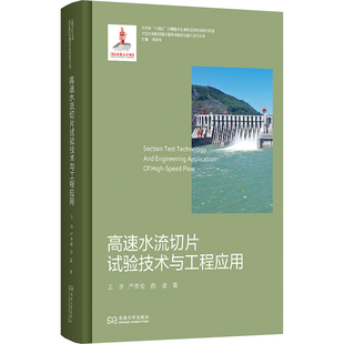高速水流切片试验技术与工程应用 东南大学出版社 王新,严秀俊,薛淑 著 建筑/水利（新）QG