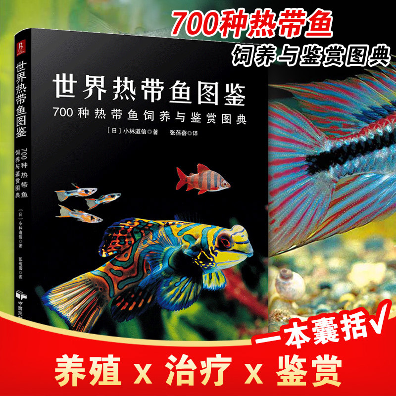 世界热带鱼图鉴：700种热带鱼饲养与鉴赏图典 观赏鱼类养殖入门养鱼大全技术热带鱼海底生物彩色图鉴神秘动物鱼类科普大全集书籍K