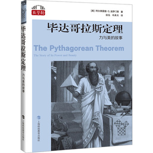 毕达哥拉斯定理 力与美的故事 上海科技教育出版社 (美)阿尔弗雷德·S.波萨门蒂 著 涂泓,冯承天 译 数学QG