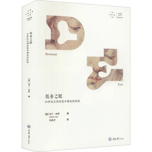 低垂之眼 20世纪法国思想对视觉的贬损 重庆大学出版社 (美)马丁·杰伊 著 孔锐才 译 设计 KC