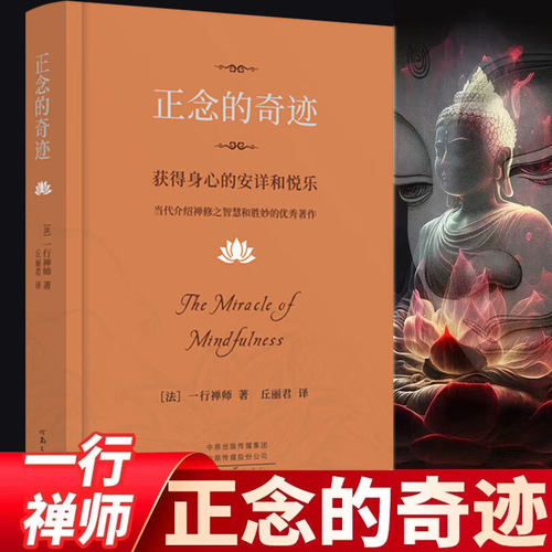 正念的奇迹：获得身心的安详和悦乐 一行禅师著 现代的佛教禅宗诗人 人生哲学心理学舍得放下获得身心的安详和悦乐X