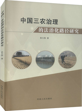 中国三农治理的法治化路径研究 河南人民出版社 孙大伟 著 法学理论