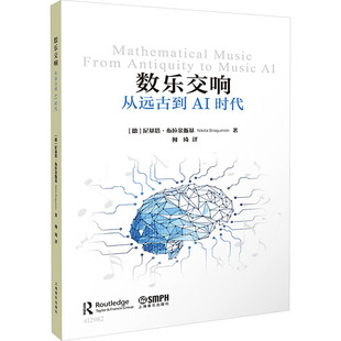 数乐交响--从远古到AI时代(德)尼基塔·布拉金斯基 著 著 何琦 译 译上海音乐出版社艺术理论（新）CX