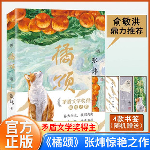 茅盾文学奖得主张炜作品 橘颂 12岁小学生探险故事儿童文学课外阅读书籍 奇迹X 正版 穿越500公里 童书