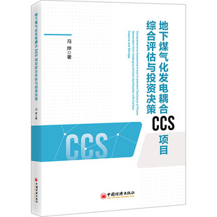 地下煤气化发电耦合CCS项目综合评估与投资决策 中国经济出版社 冯烨 著 地下煤气化发电~CCS~投资决策 项目管理G