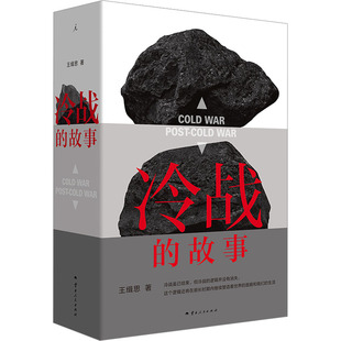 冷战的故事 云南人民出版社 王缉思 著 政治理论