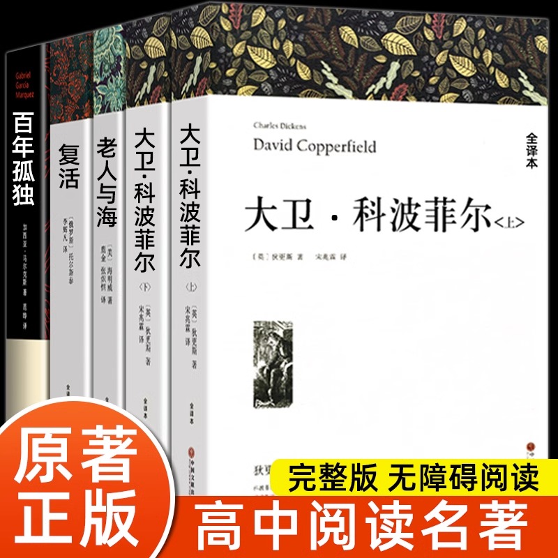 高中课外阅读书籍必目大卫科