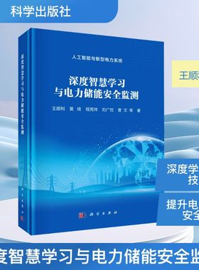 深度智慧学习与电力储能安全监测 科学出版社 王顺利 等 著 著QG