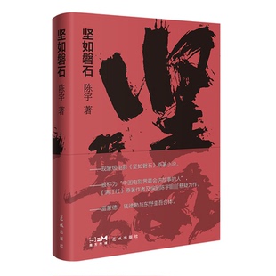 坚如磐石陈宇花城出版社小说/侦探推理/恐怖惊悚小说KC