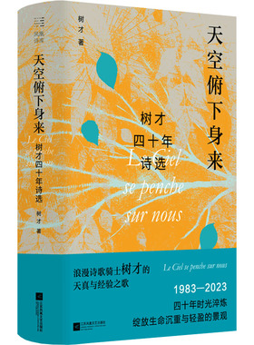 天空俯下身来 树才四十年诗选 江苏凤凰文艺出版社 树才 著 中国现当代诗歌