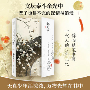 一眨眼算不算少年一辈子算不算永远散文随笔集青春回忆生活感悟时间与永恒话题成人阅读文学休闲读物百花洲文艺出版社K