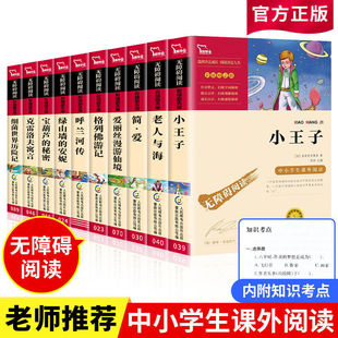 名著三四五六年级中小学生青少年课外阅读书籍彩插励志版 书籍世界经典 无障碍阅读全套K 安妮正版 小王子简爱格列夫游记绿山墙