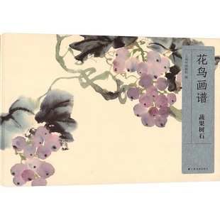 花鸟画谱 蔬果树石 上海书画出版社 上海中国画院 编 绘画（新）  KC