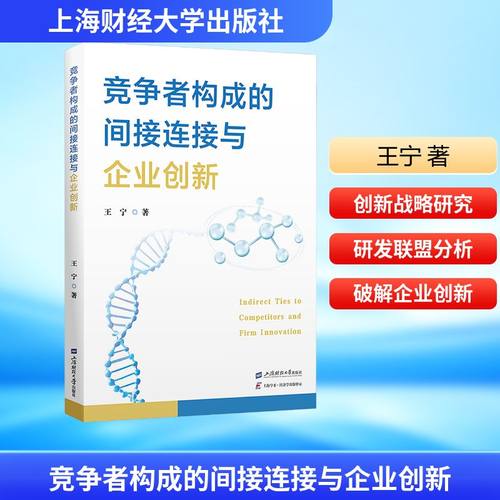 竞争者构成的间接连接与企业创新