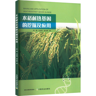 水稻耐热基因的挖掘及应用 中国农业出版社 骆鹰,汪启明,饶力群 著 农业基础科学QG