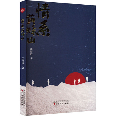 情系黄蜂山 百花文艺出版社 沈海清 著 青春/都市/言情/轻小说  KC