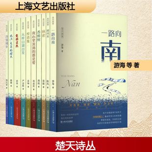 楚天诗丛(全10册) 上海文艺出版社 游海 等 著 著 中国现当代诗歌 KC