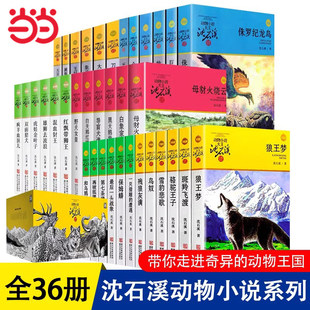 狼王梦斑羚飞渡第七条猎狗最后一头战象6 正版 全套36册 沈石溪动物小说品藏书系全集升级版 12岁儿童小学生课外阅读书籍K 童书