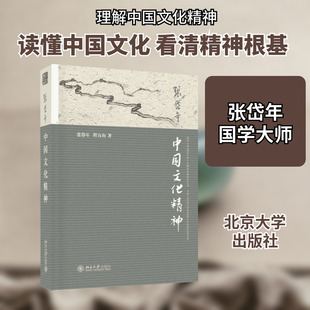 中国文化精神 北京大学出版社 张岱年,程宜山 著 著 文化人类学
