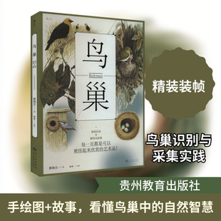 鸟巢 贵州教育出版社 蔡锦文 著 生命科学/生物学QG