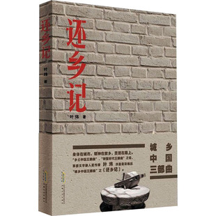 还乡记 安徽文艺出版社 叶炜 著 现代/当代文学  KC