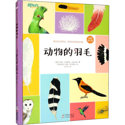 动物的羽毛 海豚出版社 (捷克)玛丽·科塔索娃·亚当科娃 著 叶少红 译 (斯洛伐)马捷·伊尔奇克 绘  KC