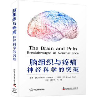 脑组织与疼痛 神经科学的突破 中国科学技术出版社 (美)理查德·安布罗 著 黄宇光,马超 译QG