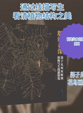 版纳春深 郭子良西双版纳植物写生线描精选 福建美术出版社 郭子良 绘 绘画（新）  KC