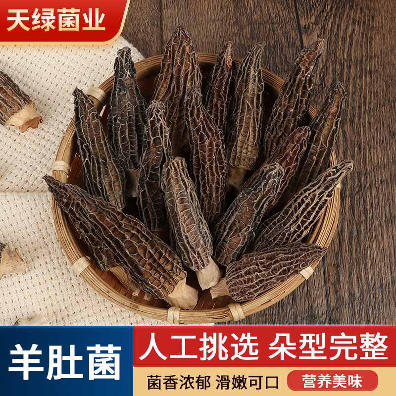 羊肚菌50克/袋 中大剪柄羊肚菌煲汤食用菌菌菇 四川成都金堂特产