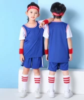 Jin03 Легкая доска подделка двух кусочков синего цвета