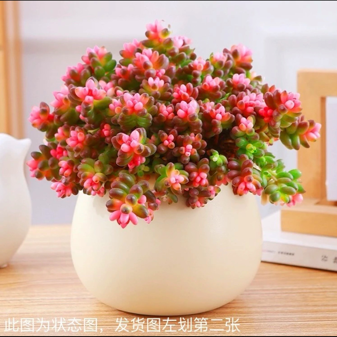 七彩龙珠 带盆 6-7厘米 多肉植物绿植 多肉 酱果锦,鲜花速递/花卉仿真/绿植园艺,多肉植物,淘宝优惠券,粉丝福利购,淘宝优惠卷